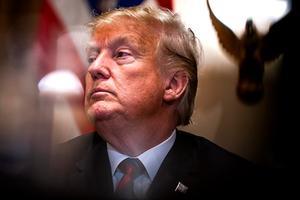 Trump. beeld EPA, Jim Lo Scalzo