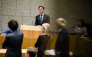Premier Rutte. beeld ANP