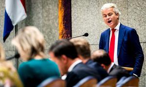 „De PVV heeft 20 zetels in de Tweede Kamer. Die moeten ergens vandaan komen.” beeld ANP, Remco de Waal