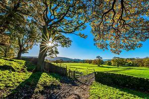 beeld Pixabay