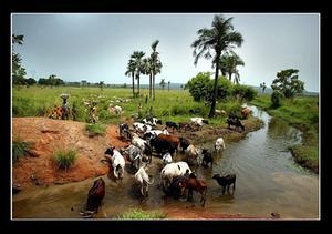 Burkina Faso (archieffoto). beeld RD, Sjaak Verboom