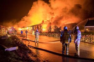 beeld ANP