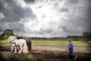 Wie beseft dat de gemiddelde Nederlander zoveel consumeert dat er twee tot vier wereldbollen nodig zouden zijn als iedereen zo leefde, mag niet langer werkeloos toezien. beeld RD, Henk Visscher