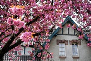 Moers, Duitsland. beeld EPA