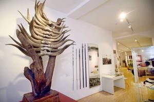 Boomstam met koeienhoornen uit Afrika, in het museum van de Vereinte Evangelische Mission (VEM) in de Duitse stad Wuppertal. beeld epd-bild, Uwe Moeller