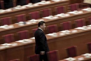 „Een belangrijk sleutelelement in het officiële Xi Jinping-denken is het creëren van een internationale gemeenschap met een gedeelde toekomst, gebaseerd op samenwerking.” beeld AFP, Fred Dufour