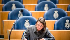 GroenLinks-Kamerlid Bromet. beeld ANP
