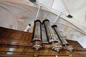 Het Hardorfforgel uit 1861 in de Johanneskerk van Britsum. beeld Marchje Andringa