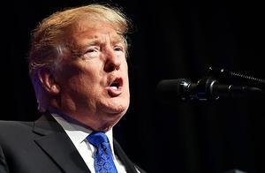 Trump. beeld AFP