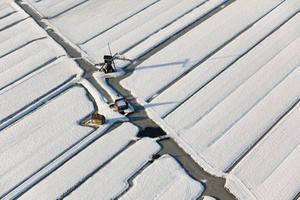 Molen in de sneeuw in de buurt van Schoonhoven.  beeld Frans Lemmens