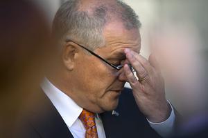 De Australische premier Scott Morrison, dinsdag in het parlement in Canberra. beeld EPA, Lukas Coch