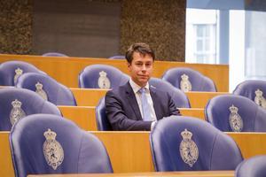 Stoffer. beeld RD, Henk Visscher