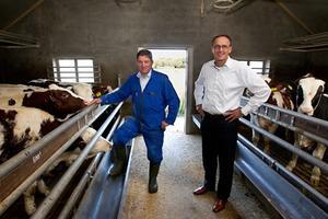 Adviseur Steven van Westreenen (rechts) bij een kalverhouder uit Uddel die hij hielp met vergunningen voor het uitbreiden van het bedrijf. beeld RD, Anton Dommerholt