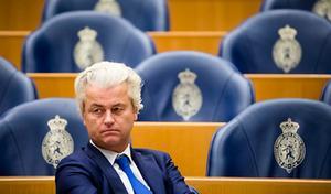 Wilders. beeld ANP