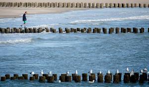 beeld ANP