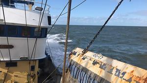 beeld RD