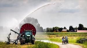 beeld ANP