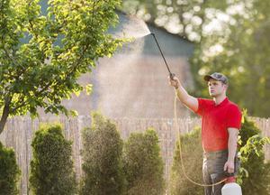 Door gebrek aan kennis en afwezigheid van technische hulpmiddelen ligt overdosering bij het gebruik van deze pesticiden op de loer.  beeld iStock