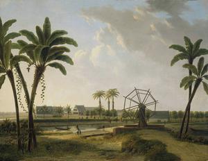 Gezicht op een koffieplantage, wellicht ”Meerzorg” aan het Taparoepikanaal in Suriname. Volgens het signatuur vervaardigd naar een tekening van A.L. Broekmann. beeld Rijksmuseum Amsterdam