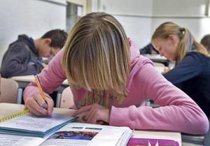 Meer creatief schrijven moet ervoor zorgen dat middelbare scholieren enthousiaster zijn voor het vak Nederlands. beeld ANP, Koen Suyk