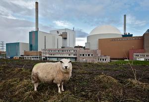De energiecentrale van EPZ in het Zeeuwse Borssele, met rechts de kerncentrale . beeld ANP