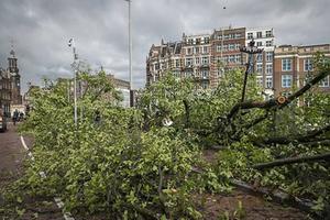 In het centrum van Amsterdam zijn in de nacht van woensdag op donderdag door het noodweer zo’n 150 bomen omgewaaid. beeld ANP