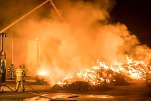 beeld ANP