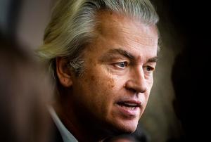 Wilders. beeld ANP