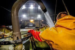 Pulsvissers aan het werk op zee. beeld ANP, Niels Wenstedt