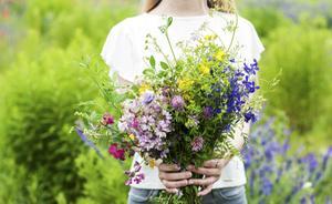 beeld iStock