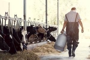 De zorgen om suïcide onder boeren neemt toe. Veel agrariërs zien na alle veranderingen in de wet- en regelgeving door de bomen het bos niet meer.  beeld iStock