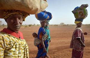 Vrouwen van de Dogon-stam in Mali. Archiefbeeld AFP