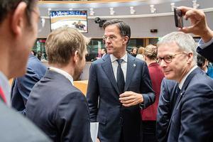 Premier Rutte in Brussel. beeld ANP