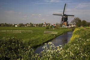 Uniek landschap van de Alblasserwaard. beeld iStock, Roel Meijer