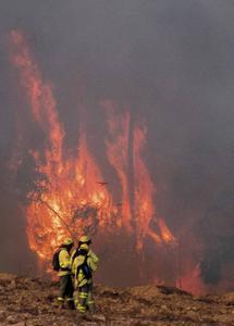 Bosbrand in Spanje. beeld EPA, David Arjona