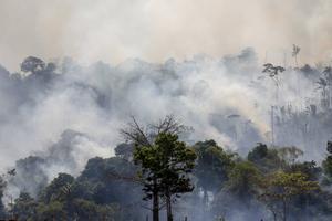 Dat er nu zoveel bosbranden in Zuid-Amerika woeden, heeft niet alleen natuurlijke maar ook politieke oorzaken. Foto: bosbranden in de Braziliaanse deelstaat Pará. beeld AFP, Joao Laet