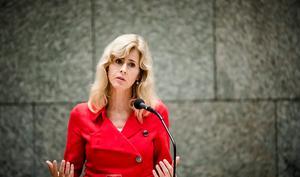 Staatssecretaris Keijzer. beeld ANP