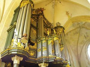 Het orgel in de Martinikerk in Groningen. beeld RD