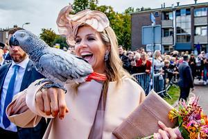 beeld ANP