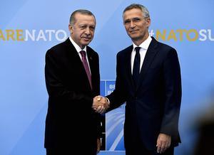 De Turkse premier Erdogan met de secretaris-generaal van de NAVO, Stoltenberg. beeld AFP, Eric Lalmand