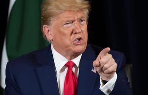 De Amerikaanse president Donald Trump sprak tijdens een conferentie van de Verenigde Naties over godsdienstvrijheid. beeld AFP, Saul Loeb