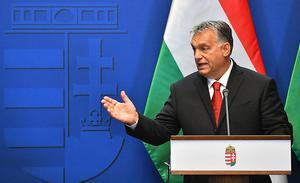 De Hongaarse premier Viktor Orban maandag tijdens een persconferentie in Boedapest. beeld AFP, Attila Kisbenedek