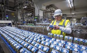 De overheid zou ervoor moeten zorgen dat werkgevers- en werknemersorganisaties flexibiliteit juist faciliteren. beeld ANP, Lex van Lieshout