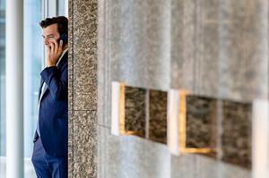Baudet. beeld ANP