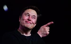 Teslatopman Elon Musk. beeld AFP