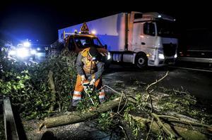 Hulpdiensten halen in 2016 takken en boomstammen van de weg in de buurt van het Franse Calais. Migranten probeerden de afgelopen jaren regelmatig wegen te blokkeren om zo vrachtwagens tot stoppen te dwingen. Vervolgens proberen ze in de vrachtruimte te klimmen om als verstekeling naar Groot-Brittannië te kunnen reizen.  beeld AFP, Philippe Huguen
