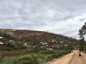 De Usambara Mountains in Tanzania, ooit geprezen om hun schoonheid en biodiversiteit, werden door roofbouw en blind opportunisme in slechts enkele jaren omgetoverd tot woestijn. beeld Hans Valkenburg