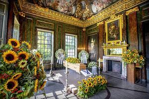 De kist met het lichaam van de overleden prinses is opgesteld in een zogenoemde 'chapelle ardente'. beeld ANP
