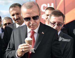 Erdogan tijdens de luchtshow. beeld EPA