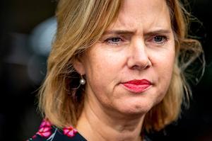 Van Nieuwenhuizen. beeld ANP
